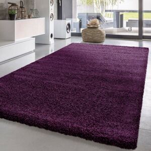 Quality & Style (Purple , 60cm x 220cm) Soft Shaggy VERONA Rug Living Room Bedroom Carpet Hallwa Quality & Style (Purple , 60cm x 220cm) Soft Shaggy VERONA Rug Living Room Bedroom Carpet Hallwa