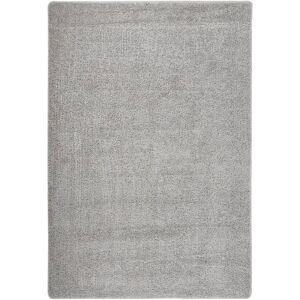 (light grey, 120 x 170 cm) vidaXL Shaggy Rug Anti Slip Area Rug Floor Carpet Mul (light grey, 120 x 170 cm) vidaXL Shaggy Rug Anti Slip Area Rug Floor Carpet Mul