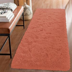 Imperial Rooms (Rust Runner Rug) Fluffy Shaggy Rug Runner Living Room Kitchen Soft Pile Carpet Imperial Rooms (Rust Runner Rug) Fluffy Shaggy Rug Runner Living Room Kitchen Soft Pile Carpet