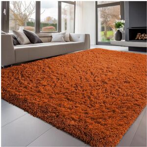 Moonlight Bedding Limited (Orange, 200x290 cm) NON SLIP RUGS SHAGGY THICK RUGS HALLWAY RUNNER LARGE LIVING Moonlight Bedding Limited (Orange, 200x290 cm) NON SLIP RUGS SHAGGY THICK RUGS HALLWAY RUNNER LARGE LIVING