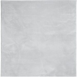 (grey, 160 x 160 cm) vidaXL Rug Short Pile Soft and Washable Floor Mat Area Rug (grey, 160 x 160 cm) vidaXL Rug Short Pile Soft and Washable Floor Mat Area Rug