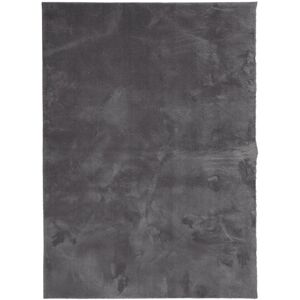 (anthracite, 120 x 170 cm) vidaXL Rug Short Pile Soft and Washable Floor Mat Are (anthracite, 120 x 170 cm) vidaXL Rug Short Pile Soft and Washable Floor Mat Are