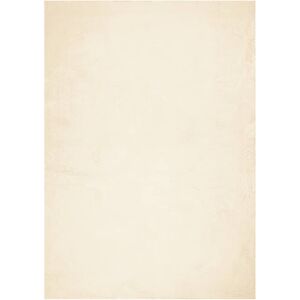 vidaXL Cream Short Pile Rug - Indoor Soft Washable Floor Mat - 200x280 cm vidaXL Cream Short Pile Rug - Indoor Soft Washable Floor Mat - 200x280 cm