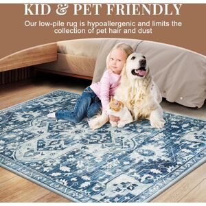 Imperial Rooms (120 x 170 cm (4 ft x 4 ft 9 in)- Small Area Rug/Carpet, Tranquil) Extra Large T Imperial Rooms (120 x 170 cm (4 ft x 4 ft 9 in)- Small Area Rug/Carpet, Tranquil) Extra Large T