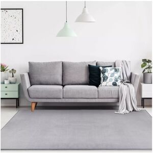 Imperial Rooms (80 cm x 150 cm (2ft 8" x 5ft)- Runner Floor Rug Carpet, Silver) Modern Fluffy R Imperial Rooms (80 cm x 150 cm (2ft 8" x 5ft)- Runner Floor Rug Carpet, Silver) Modern Fluffy R