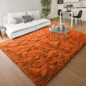 Imperial Rooms (60 x 110 cm (2 ft x 3 ft 7 in)-Mat, Rust/Orange) Anti Slip Shaggy Rug For Livin Imperial Rooms (60 x 110 cm (2 ft x 3 ft 7 in)-Mat, Rust/Orange) Anti Slip Shaggy Rug For Livin
