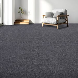 Actiasmat Carpet Tiles Heavy Duty 20pcs 5SQM in Dark Grey Office Actiasmat Carpet Tiles Heavy Duty 20pcs 5SQM in Dark Grey Office