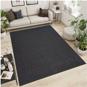Shaggy Rugs LTD (Dark Grey , 160 x 230 cm ) Non Slip Rugs Living Room Area Rug Runner Door Mat Shaggy Rugs LTD (Dark Grey , 160 x 230 cm ) Non Slip Rugs Living Room Area Rug Runner Door Mat