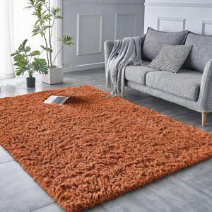 ASPIRE HOMEWARE (Rust , 120X170) Shaggy Non Slip Rugs Living Room Area Carpet Mat ASPIRE HOMEWARE (Rust , 120X170) Shaggy Non Slip Rugs Living Room Area Carpet Mat