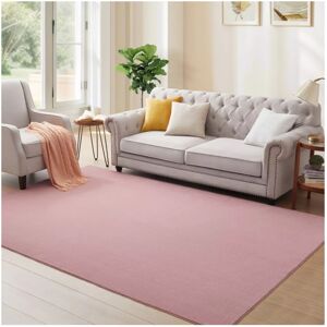 ASPIRE HOMEWARE (200 cm x 290 cm (6ft 8" x 9ft 7"), Dusty Rose) Modern Soft Shaggy Rugs Livingro ASPIRE HOMEWARE (200 cm x 290 cm (6ft 8" x 9ft 7"), Dusty Rose) Modern Soft Shaggy Rugs Livingro