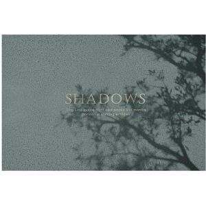 Unbranded (Thinning shadow, 80X100cm 31.5X39.3in) Home door mat, household scraping and du Unbranded (Thinning shadow, 80X100cm 31.5X39.3in) Home door mat, household scraping and du