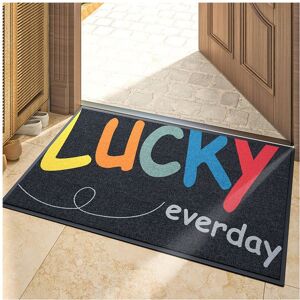 Unbranded (Lucky- grey, 80X100cm 31.5X39.3in) Door floor mat, door carpet, door mat househ Unbranded (Lucky- grey, 80X100cm 31.5X39.3in) Door floor mat, door carpet, door mat househ
