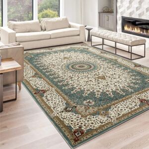 Moonlight Bedding Limited (Willow, 120 X 170 cm-Area Rug) Extra Large Rugs Traditional Carpets for Living Moonlight Bedding Limited (Willow, 120 X 170 cm-Area Rug) Extra Large Rugs Traditional Carpets for Living