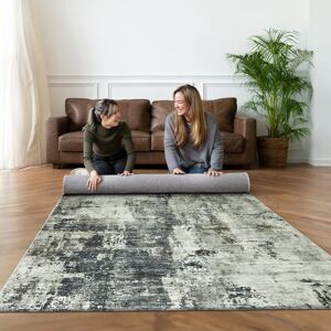 Imperial Rooms (120 x 170 cm (4 ft x 4 ft 9 in)- Small Area Rug/Carpet, Grey Abstract) Extra La Imperial Rooms (120 x 170 cm (4 ft x 4 ft 9 in)- Small Area Rug/Carpet, Grey Abstract) Extra La