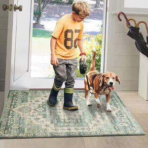 Imperial Rooms (60x110 CM- Large Doormat, Olive Green Mat) Washable Door Mats Small Rug Carpet Imperial Rooms (60x110 CM- Large Doormat, Olive Green Mat) Washable Door Mats Small Rug Carpet