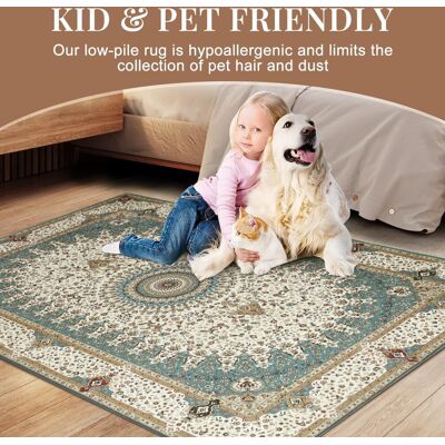Imperial Rooms - Willow Teal - 40 x 60 cm - Doormat Imperial Rooms - Willow Teal - 40 x 60 cm - Doormat