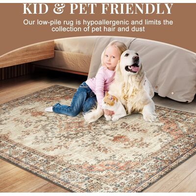 Imperial - Imperial Rooms - 40 x 60 cm - Door Mat Imperial - Imperial Rooms - 40 x 60 cm - Door Mat