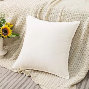 Unbranded (White, 16 x 16 in) 2X Velvet Plush Plain Cushion Cover Pillow Cases Sofa Decor Unbranded (White, 16 x 16 in) 2X Velvet Plush Plain Cushion Cover Pillow Cases Sofa Decor
