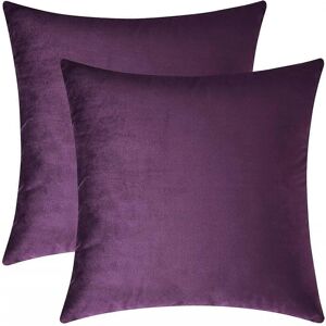 Unbranded (16 * 16 Inches 2 Pieces, Purple) Decorative Throw Pillow Covers, Velvet Cushion Unbranded (16 * 16 Inches 2 Pieces, Purple) Decorative Throw Pillow Covers, Velvet Cushion