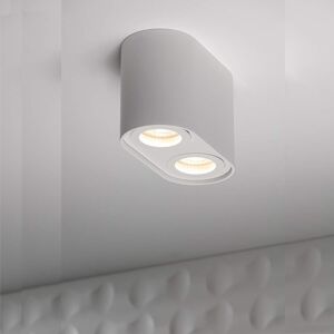 CGC Lighting CGC White Twin Round Cylinder Surface Mount Ceiling Spotlight Downlight High End CGC Lighting CGC White Twin Round Cylinder Surface Mount Ceiling Spotlight Downlight High End