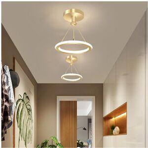 STOEX Modern Minimalist Gold Ceiling Light - Ceiling Light STOEX Modern Minimalist Gold Ceiling Light - Ceiling Light