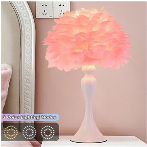 Unbranded (Style A-Pink) Modern Simple Feather Led Table Lamp Usb Metal Bedroom Light Stud Unbranded (Style A-Pink) Modern Simple Feather Led Table Lamp Usb Metal Bedroom Light Stud