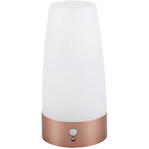 Unbranded Battery Operated Motion Sensor Night Light for Bedroom, Hallway, Driveway Unbranded Battery Operated Motion Sensor Night Light for Bedroom, Hallway, Driveway