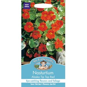 Mr Fothergill's Mr Fothergills - Pictorial Packet - Flower - Nasturtium Alaska Tip Top Red - 25 Mr Fothergill's Mr Fothergills - Pictorial Packet - Flower - Nasturtium Alaska Tip Top Red - 25