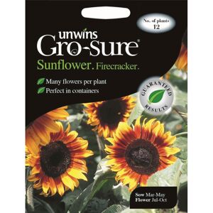 Unwins Grow Your Own Dwarf Firecracker Sunflower Flower Seeds Unwins Grow Your Own Dwarf Firecracker Sunflower Flower Seeds