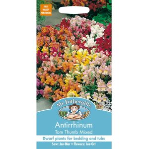 Mr Fothergill's Mr Fothergills - Pictorial Packet - Flower - Antirrhinum Tom Thumb Mixed - 1500 Mr Fothergill's Mr Fothergills - Pictorial Packet - Flower - Antirrhinum Tom Thumb Mixed - 1500