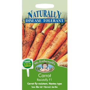 Mr Fothergill's Mr Fothergills Resistafly F1 Carrot - Pictorial Packet, 400 Seeds - Fly-Resistan Mr Fothergill's Mr Fothergills Resistafly F1 Carrot - Pictorial Packet, 400 Seeds - Fly-Resistan