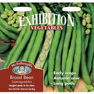 Mr Fothergill's Mr Fothergills - Pictorial Packet - Vegetable - Broad Bean - Superaquadulce - 50 Mr Fothergill's Mr Fothergills - Pictorial Packet - Vegetable - Broad Bean - Superaquadulce - 50