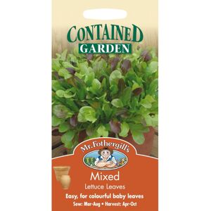 Mr Fothergill's Mr Fothergills - Pictorial Packet - Vegetable - Lettuce Leaves Mixed - 1200 Seed Mr Fothergill's Mr Fothergills - Pictorial Packet - Vegetable - Lettuce Leaves Mixed - 1200 Seed
