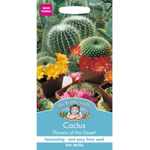Mr Fothergill's Mr Fothergills - Pictorial Packet - House Plant - Cactus - Flowers of The Desert Mr Fothergill's Mr Fothergills - Pictorial Packet - House Plant - Cactus - Flowers of The Desert