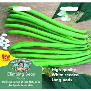 Mr Fothergill's Mr Fothergills - Vegetable - Climbing Bean Python - 50 Seeds Mr Fothergill's Mr Fothergills - Vegetable - Climbing Bean Python - 50 Seeds