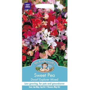 Mr Fothergill's Mr Fothergills - Pictorial Packet - Flower - Sweet Pea - Dwarf Explorer Mixed - Mr Fothergill's Mr Fothergills - Pictorial Packet - Flower - Sweet Pea - Dwarf Explorer Mixed -