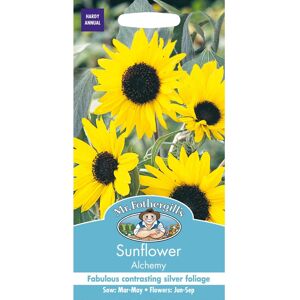 Mr Fothergill's Mr Fothergills - Pictorial Packet - Flower - Sunflower Alchemy - 40 Seeds Mr Fothergill's Mr Fothergills - Pictorial Packet - Flower - Sunflower Alchemy - 40 Seeds