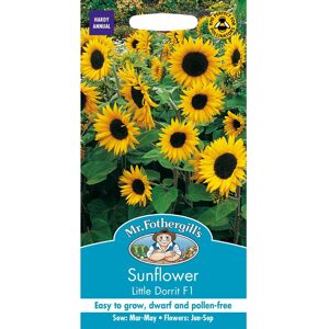 Mr Fothergill's Mr Fothergills - Pictorial Packet - Flower - Sunflower Little Dorrit F1 - 25 See Mr Fothergill's Mr Fothergills - Pictorial Packet - Flower - Sunflower Little Dorrit F1 - 25 See