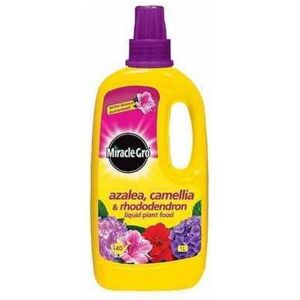 Miracle-Gro Azalea, Camellia and Rhododendron Liquid Plant Food Bottle, 1 L Miracle-Gro Azalea, Camellia and Rhododendron Liquid Plant Food Bottle, 1 L