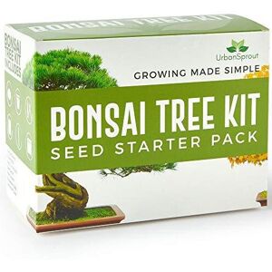 Urban Sprout Bonsai Tree Kit - Grow Your Own Bonsai Trees from Seed - Sustainabl Urban Sprout Bonsai Tree Kit - Grow Your Own Bonsai Trees from Seed - Sustainabl