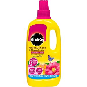 Miracle-Gro Azalea, Camellia & Rhododendron Liquid Plant Food 1L Miracle-Gro Azalea, Camellia & Rhododendron Liquid Plant Food 1L