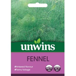 Unwins Grow Your Own Aniseed Flavour Fennel Herb Seeds Unwins Grow Your Own Aniseed Flavour Fennel Herb Seeds