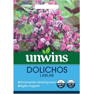 Unwins Grow Your Own Green Purple Foilage Dolichos Lablab Flower Seeds Unwins Grow Your Own Green Purple Foilage Dolichos Lablab Flower Seeds