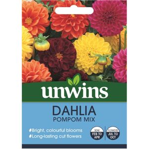 Unwins Grow Your Own Bright Colourful Dahlia Pompom Mix Flower Seeds Unwins Grow Your Own Bright Colourful Dahlia Pompom Mix Flower Seeds
