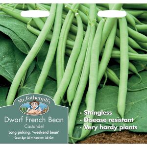 Mr Fothergill's Mr Fothergills - Vegetable - Broad Bean Crimson Flowered - 50 Seeds Mr Fothergill's Mr Fothergills - Vegetable - Broad Bean Crimson Flowered - 50 Seeds