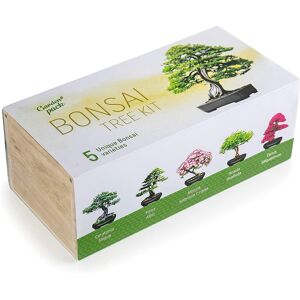 Garden Pack Grow Your Own Bonsai Tree Kit 5 Different Trees & Accessories Gift Garden Pack Grow Your Own Bonsai Tree Kit 5 Different Trees & Accessories Gift