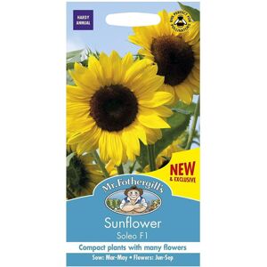 Mr Fothergill's Mr Fothergills Bright Colour Sunflower Seeds Soleo F1 Mr Fothergill's Mr Fothergills Bright Colour Sunflower Seeds Soleo F1