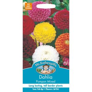Mr Fothergill's Mr Fothergills - Pictorial Packet - Flower - Dahlia Pompon Mixed - 50 Seeds Mr Fothergill's Mr Fothergills - Pictorial Packet - Flower - Dahlia Pompon Mixed - 50 Seeds
