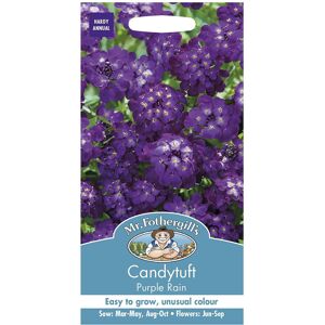 Mr Fothergill's Mr Fothergills Flower Seeds Candytuft Purple Rain Easy Grow Mr Fothergill's Mr Fothergills Flower Seeds Candytuft Purple Rain Easy Grow