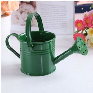 Unbranded (Dark Green) Mini Flower Kettle Water Spraying Watering Pot Garden Unbranded (Dark Green) Mini Flower Kettle Water Spraying Watering Pot Garden